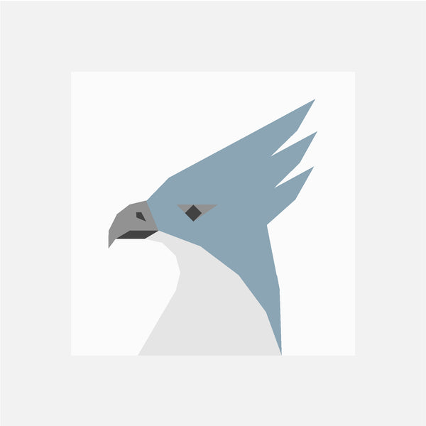 HARPY EAGLE quilt block pattern